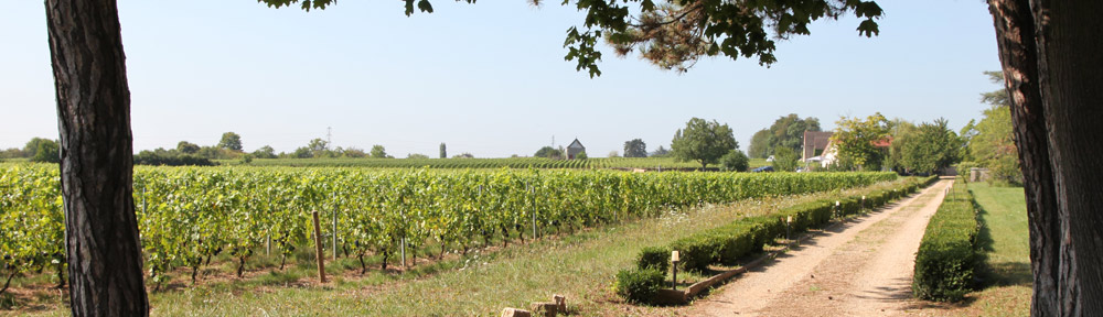 Givry.org, tout sur le vin de Givry